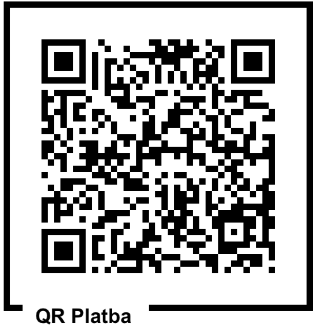 Platba REALITNÍ FLASH 2025, akce