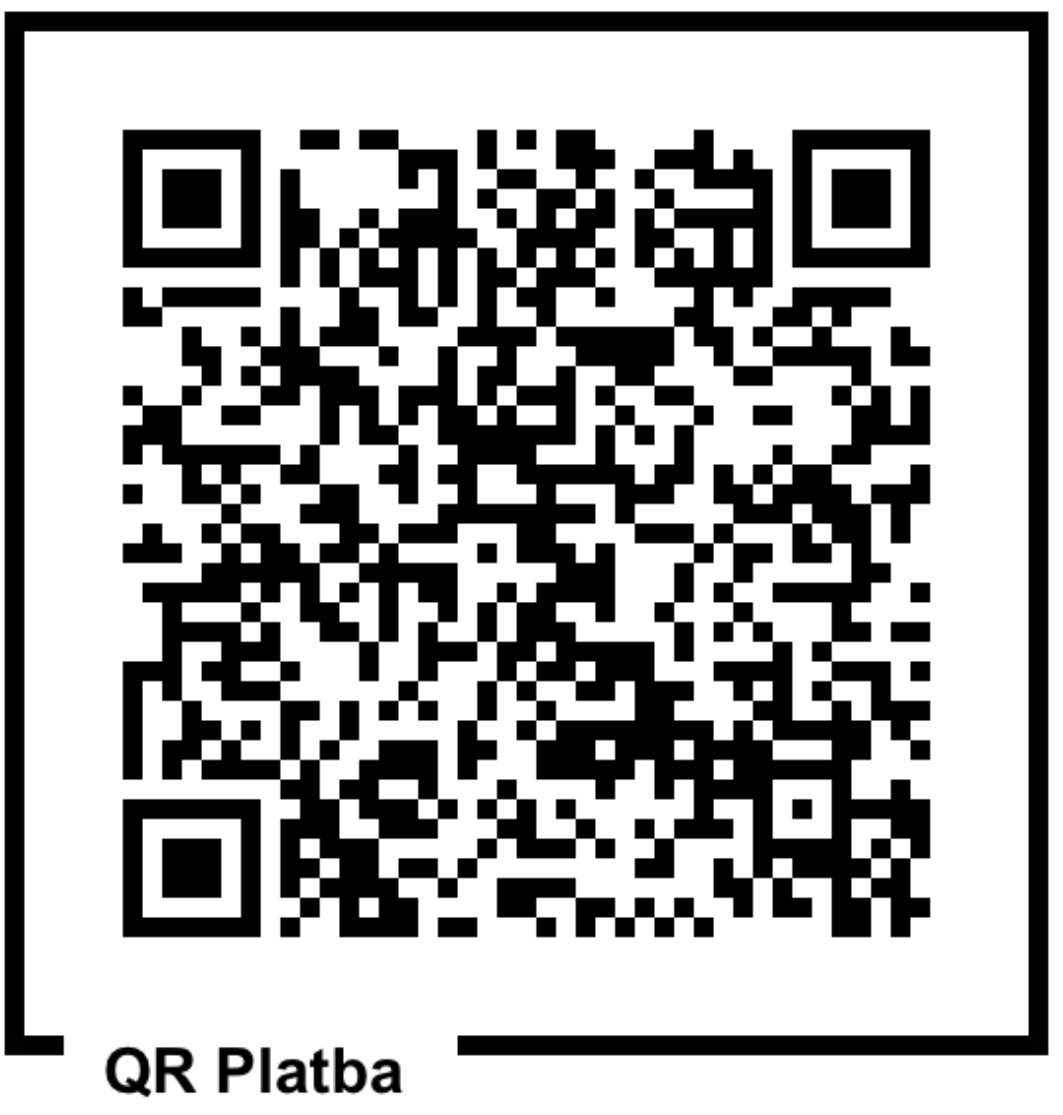 Platba - vzory pro RK