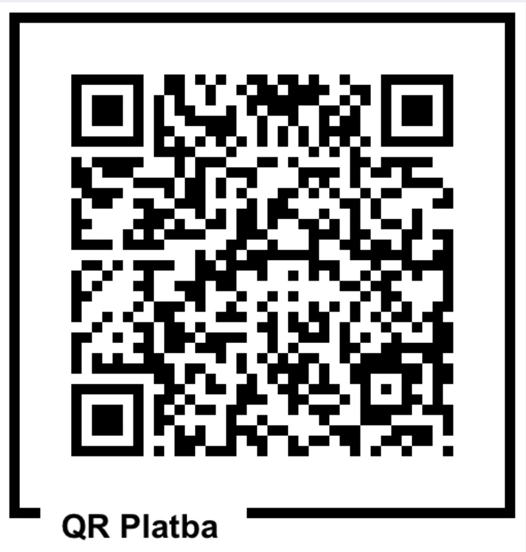 Platba REALITNÍ FLASH, ročník 2027