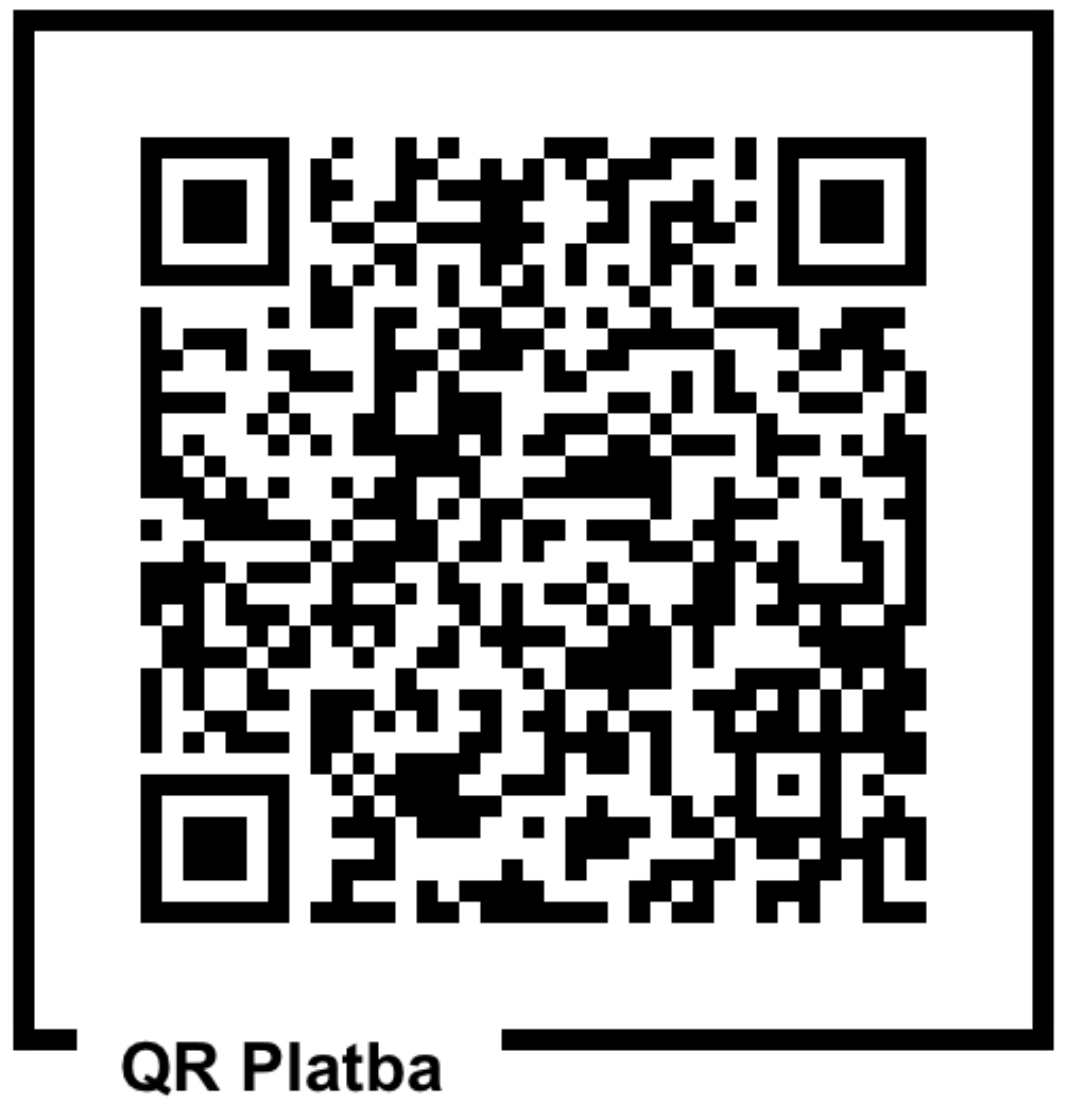 Platba - vzory pro RK