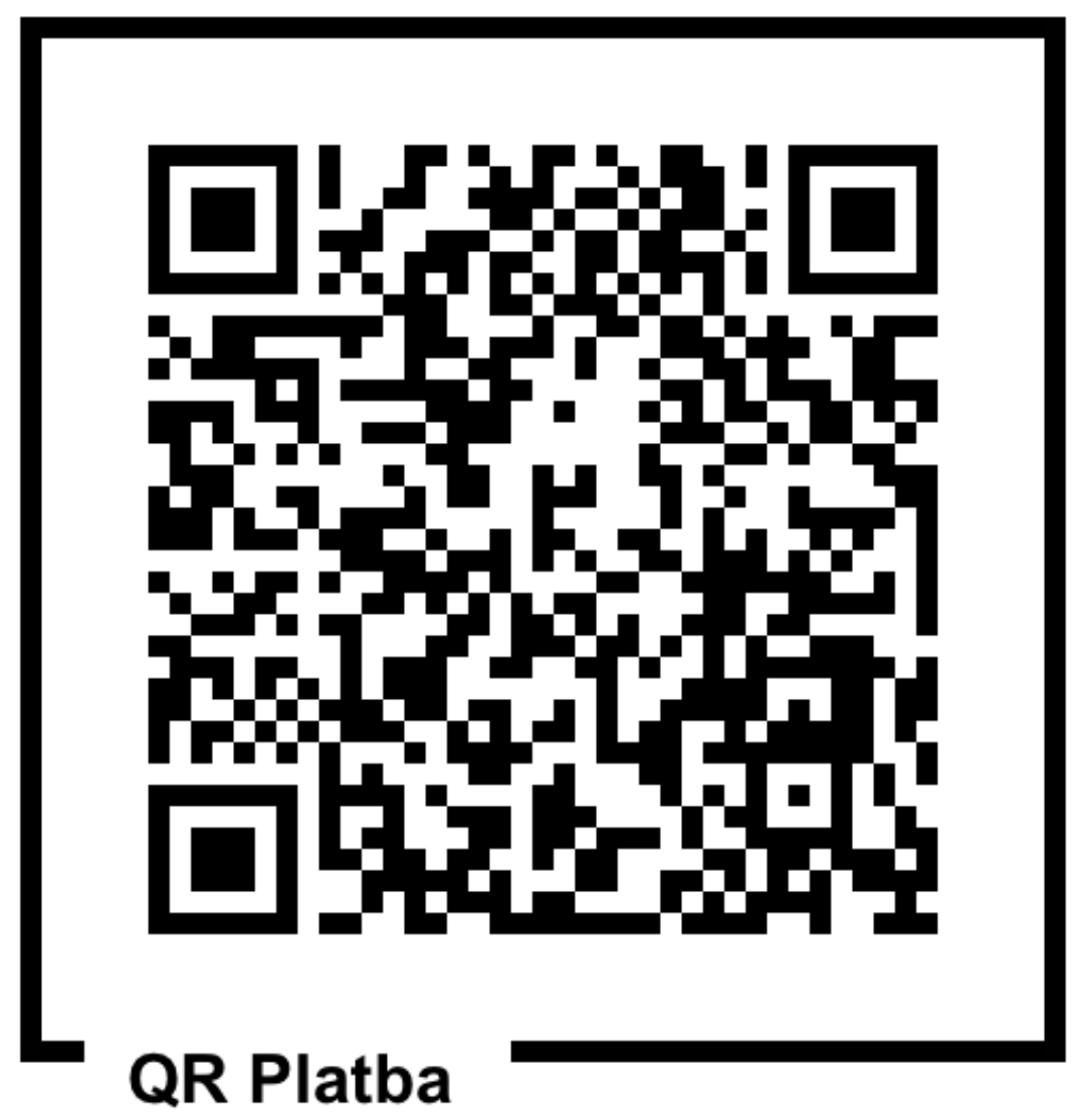 Platba REALITNÍ FLASH 2025, cisla 7-12